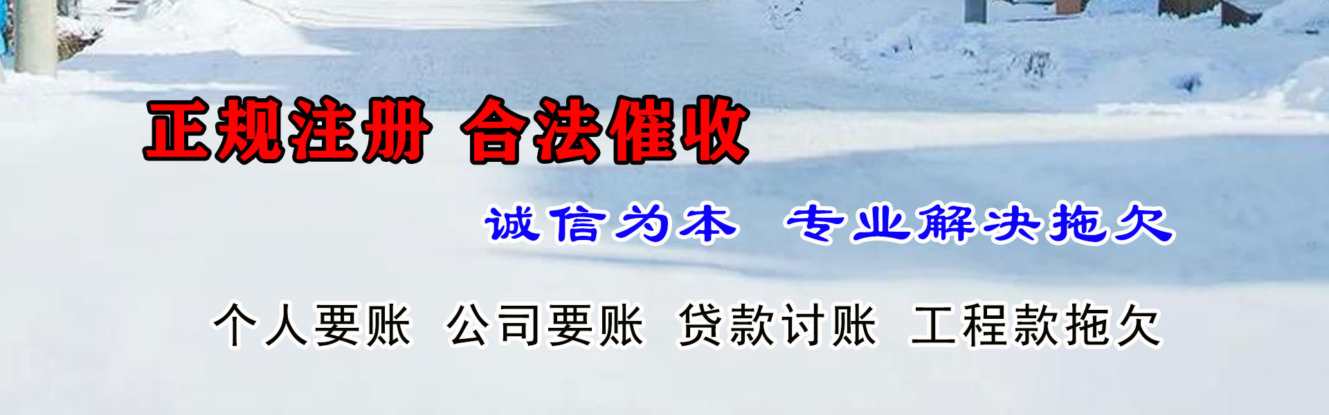 梁子湖追帐公司
